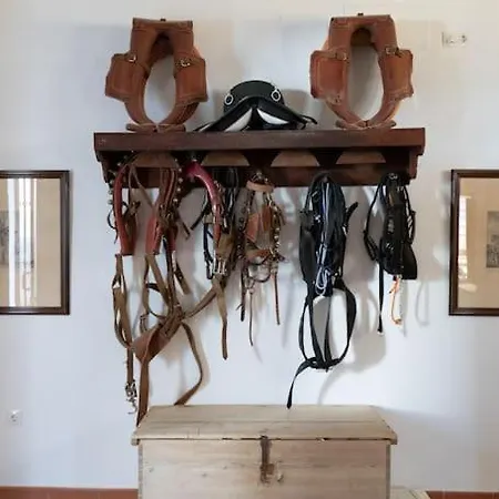 Villa Cortijo El Solano *